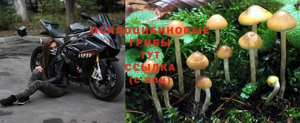стафф Армянск