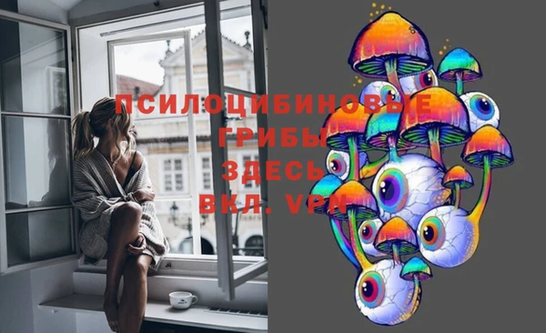 МДМА Арсеньев