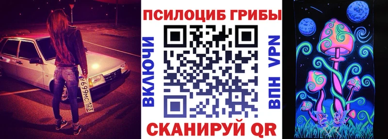 blacksprut ССЫЛКА  продажа наркотиков  Гай  Псилоцибиновые грибы мицелий 
